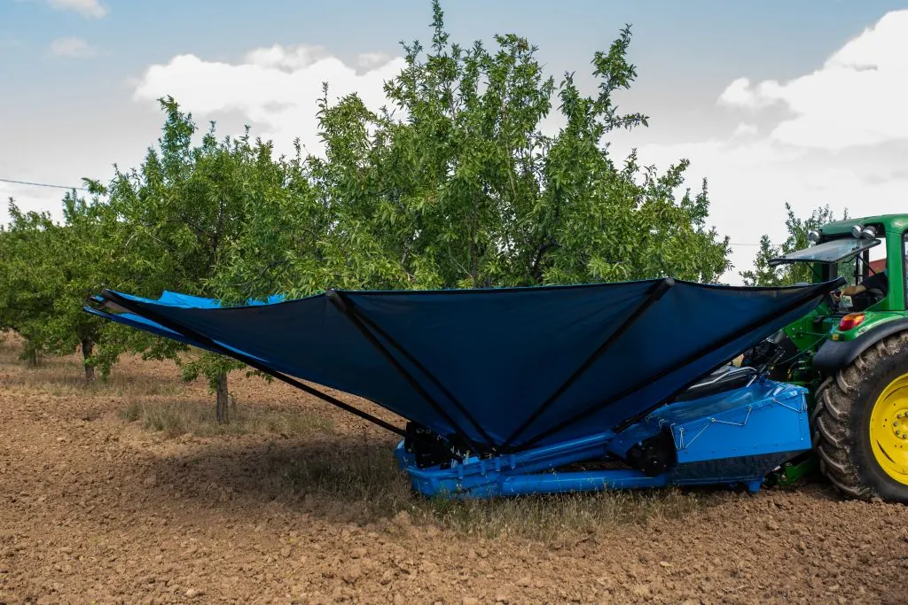 paraguas recolectando almendras